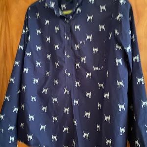 Popover J Crew classic fit blouse